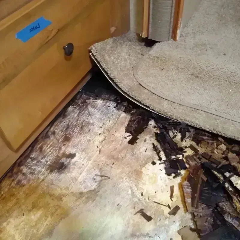 Best Wood Floor Water Damage Service in Kanab, UT